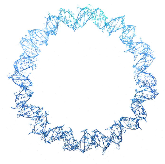 Image of a plasmid