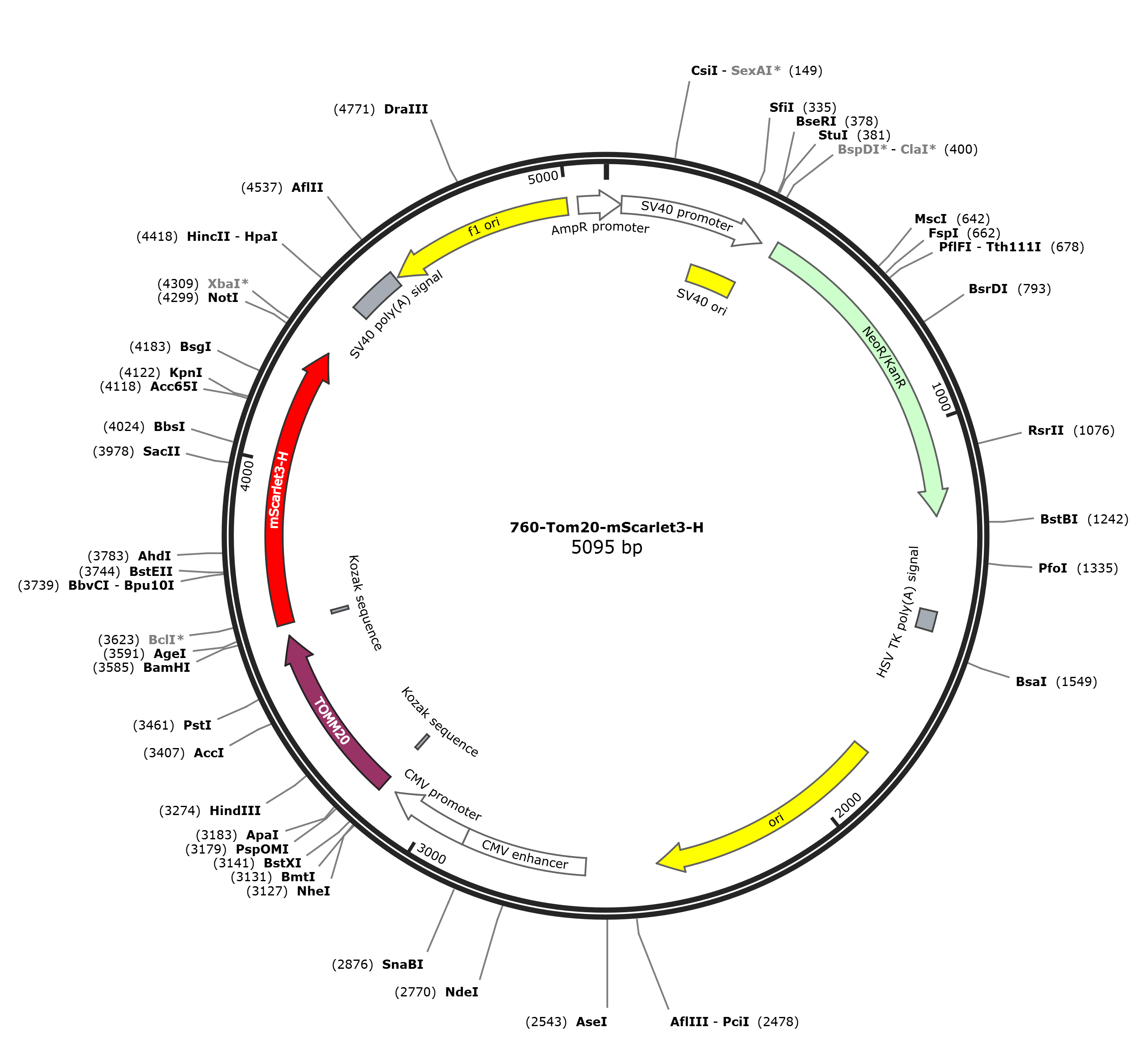 F*Rページ WeKwikGene